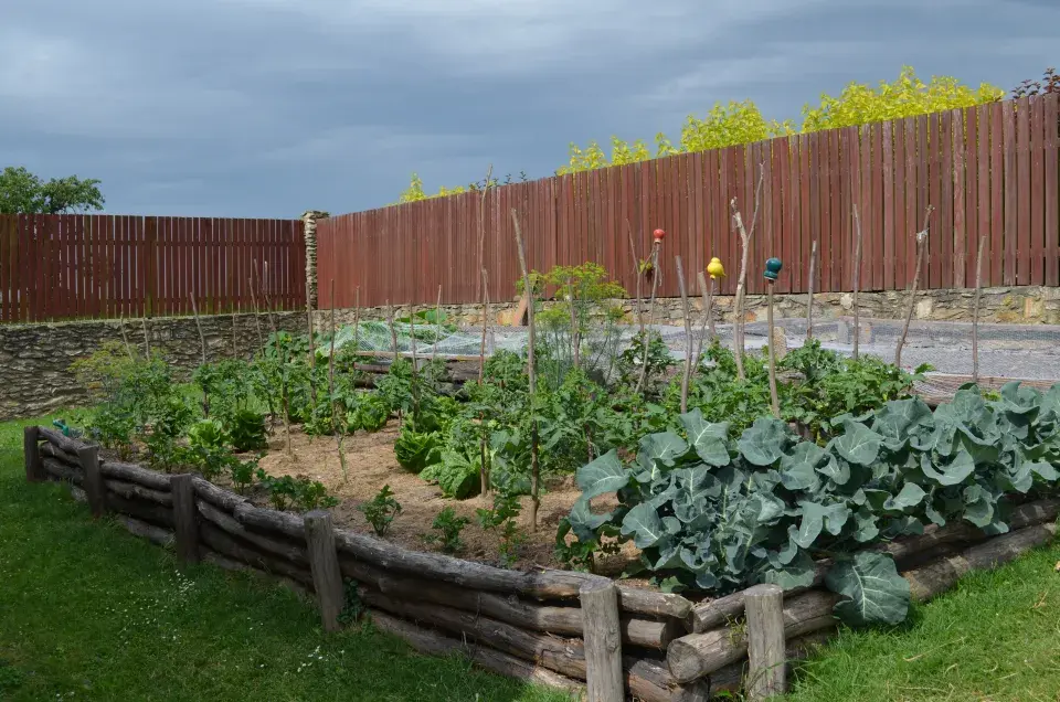 Zeleninové záhony ve svahu