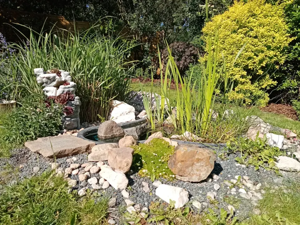 Zahrada Ireny Budweiserové