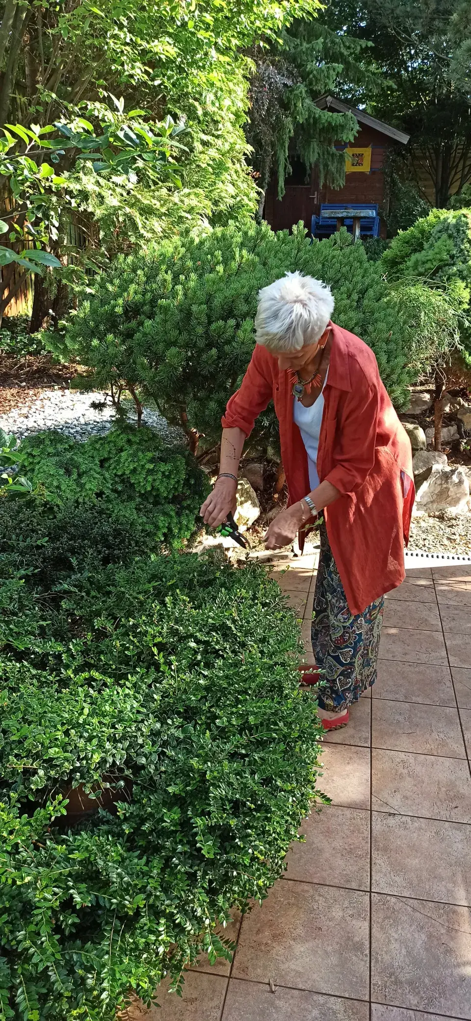 Zahrada Ireny Budweiserové