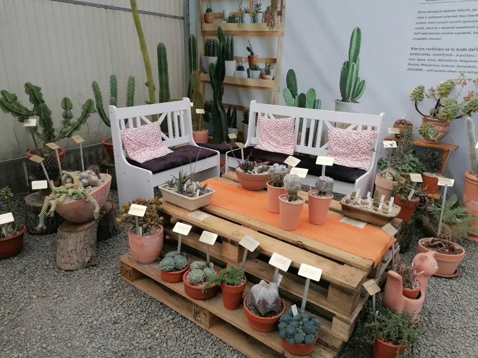 Výstava sukulentů