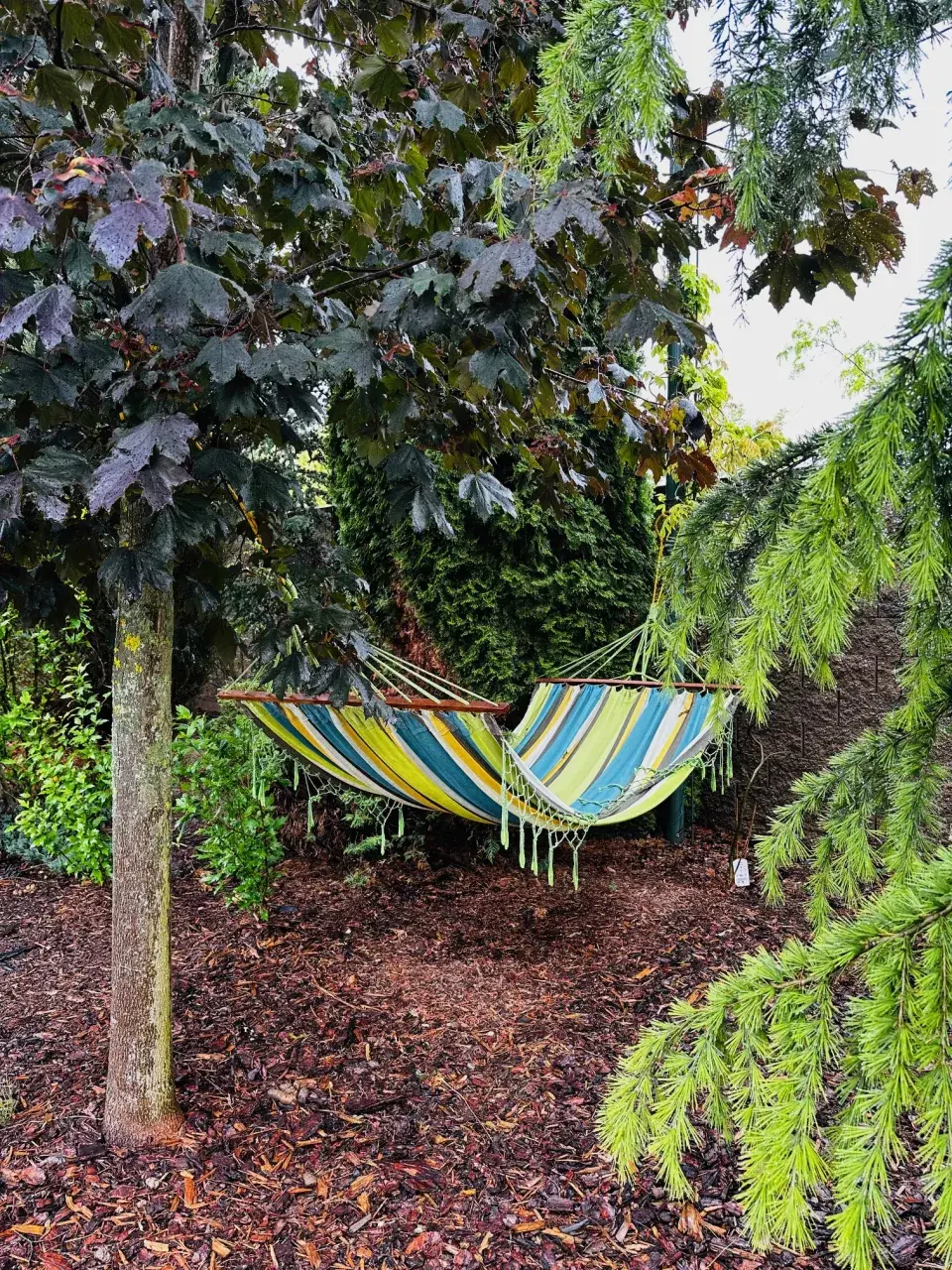 Zahrada u Báry Šporclové-Kodetové