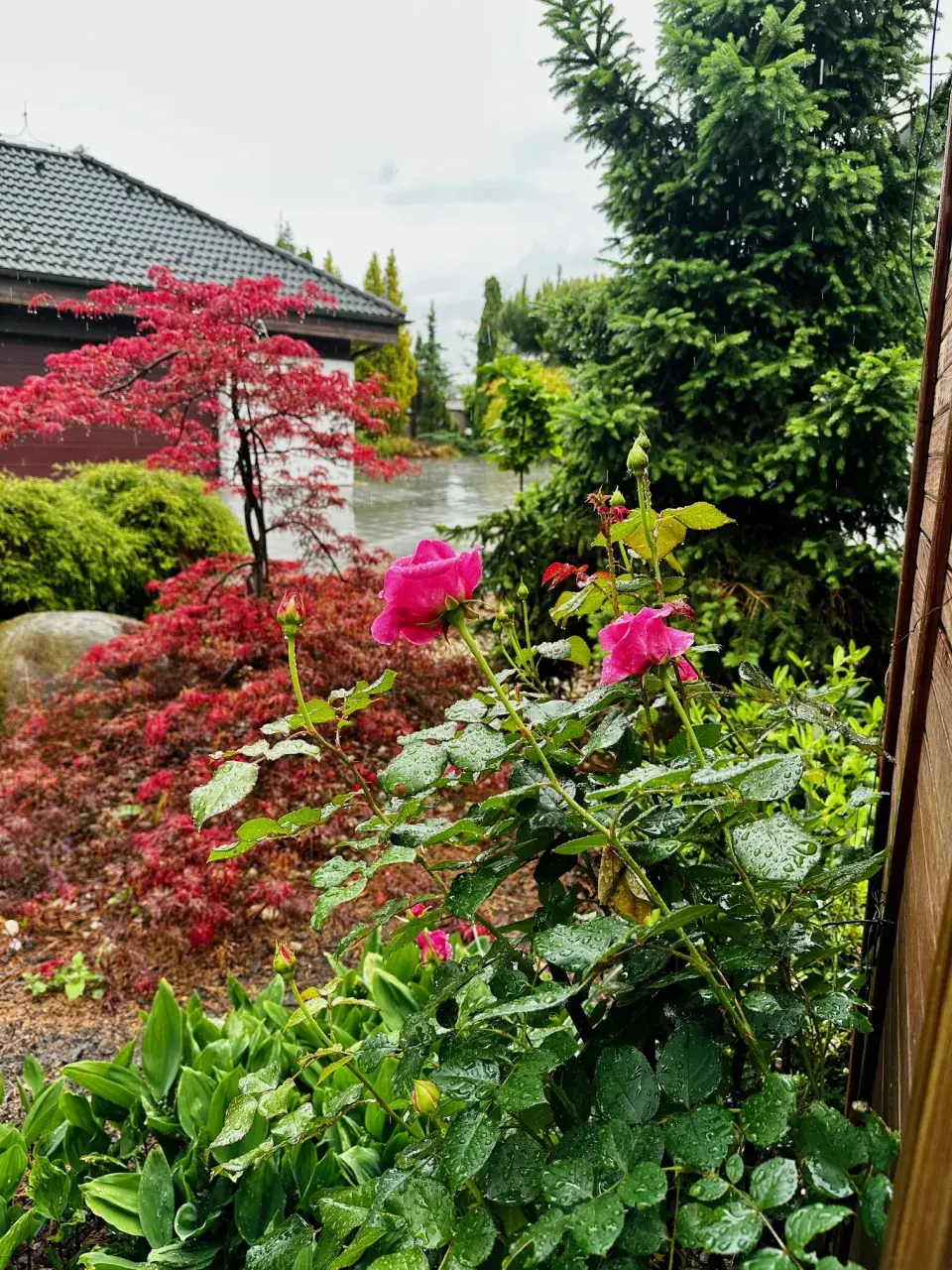 Zahrada u Báry Šporclové-Kodetové