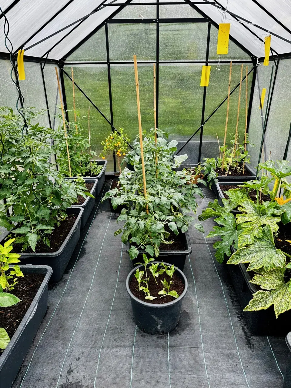 Zahrada u Báry Šporclové-Kodetové