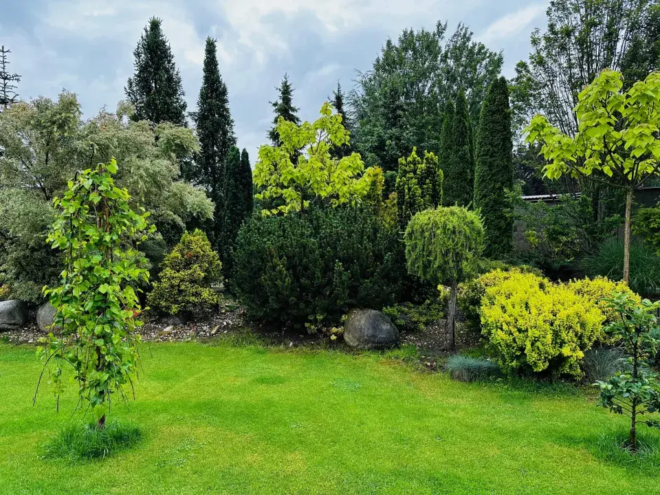 Zahrada u Báry Šporclové-Kodetové
