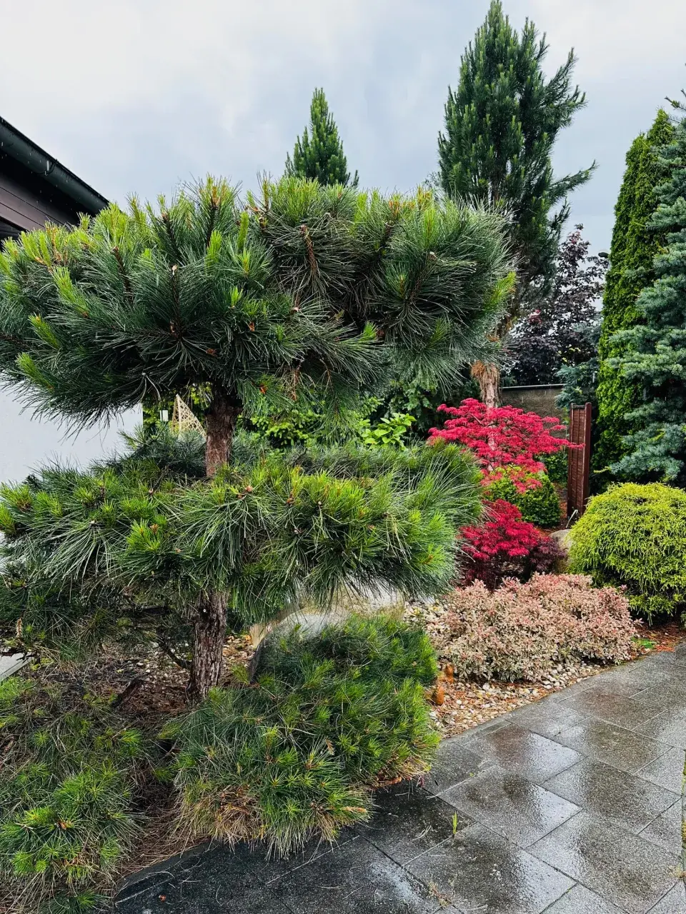 Zahrada u Báry Šporclové-Kodetové