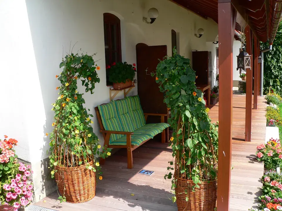 Proutěné koše se hodí do každé zahrady