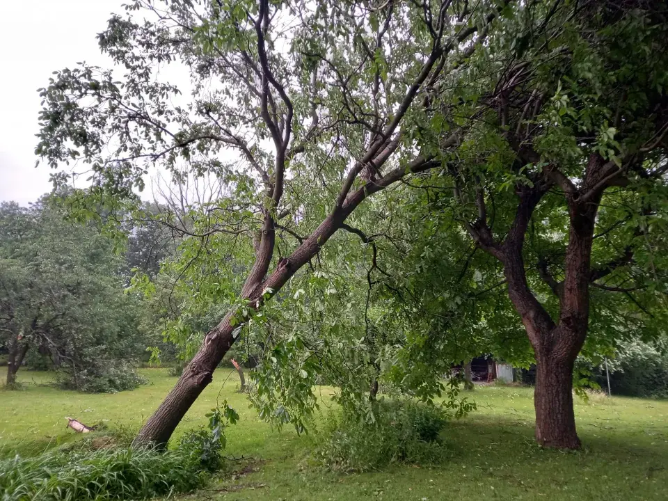 Návštěva rodné zahrady  Věry Martinové a její sestry Lenky Slavíkové