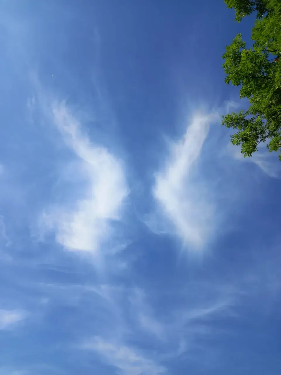 Návštěva rodné zahrady  Věry Martinové a její sestry Lenky Slavíkové