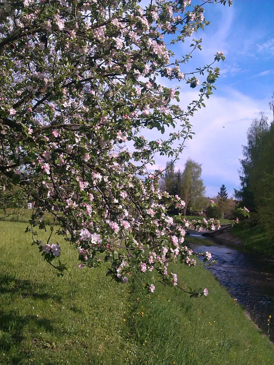 Návštěva rodné zahrady  Věry Martinové a její sestry Lenky Slavíkové