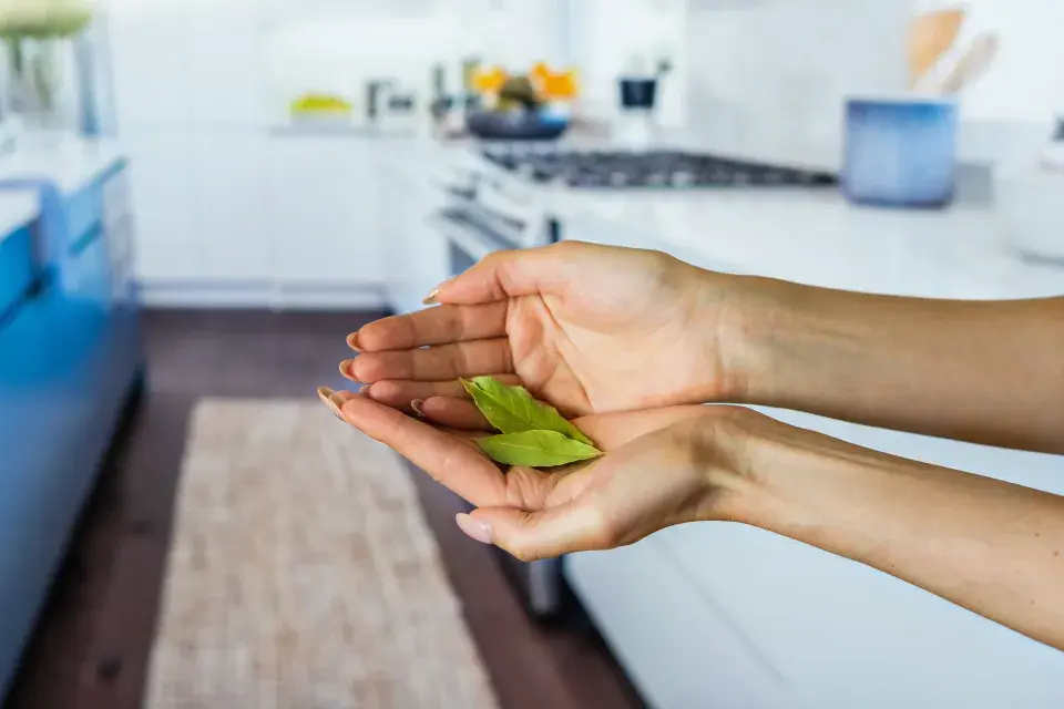 Likvidace potravinových molů musí proběhnout rychle