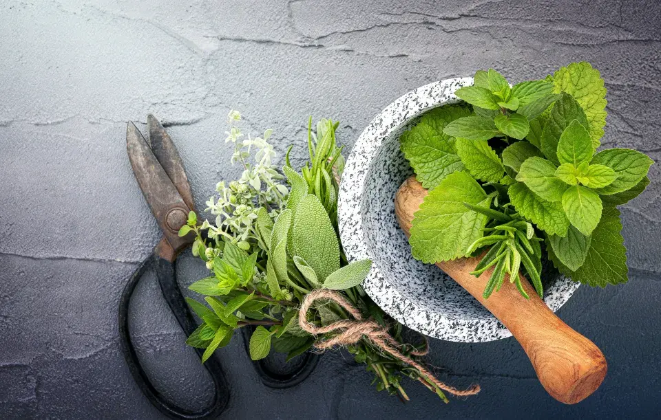 Letní grilování s rodinou a přáteli právě začíná