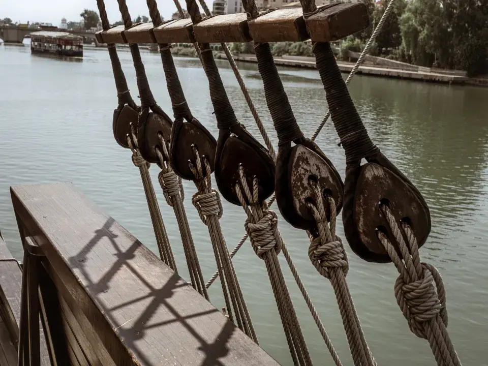 Rostliny se pěstují na výrobu přírodních vláken, ze kterých se vyrábí textilie pro naše oblečení