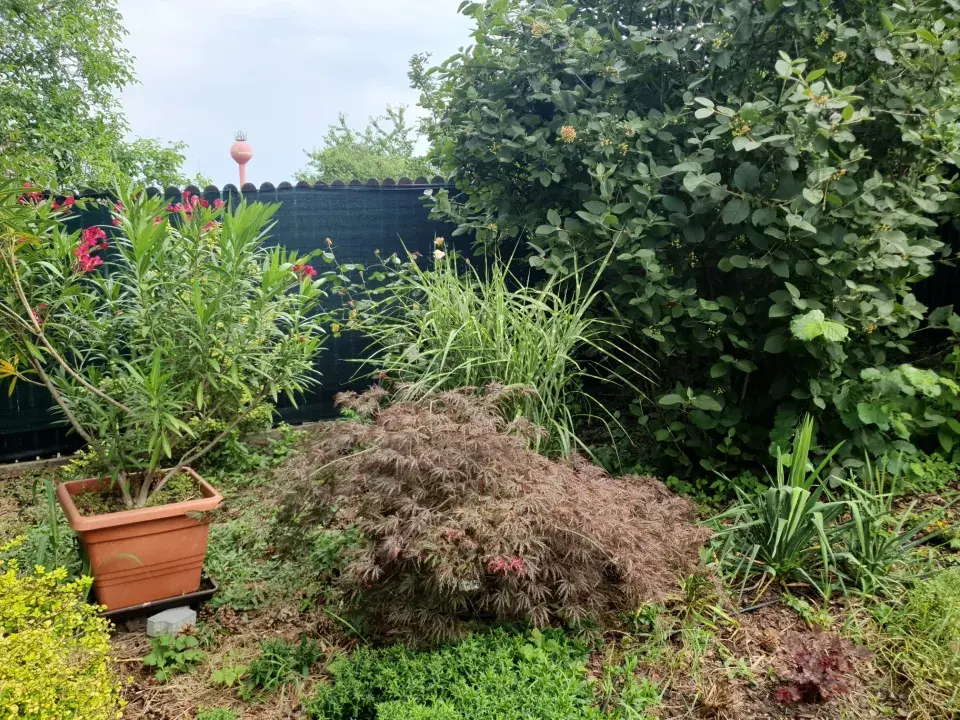 Zahrada Heleny Vondráčkové je oázou klidu a pohody