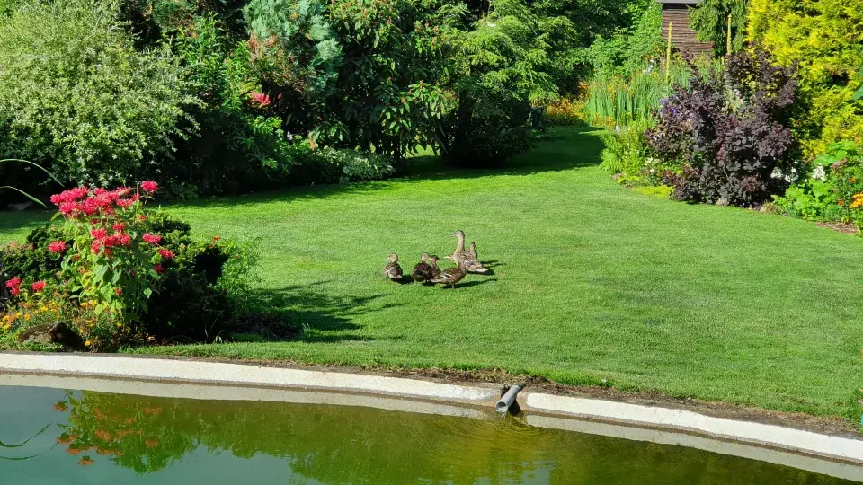 Na návštěvě zahrady u horolezce Radka Jaroše