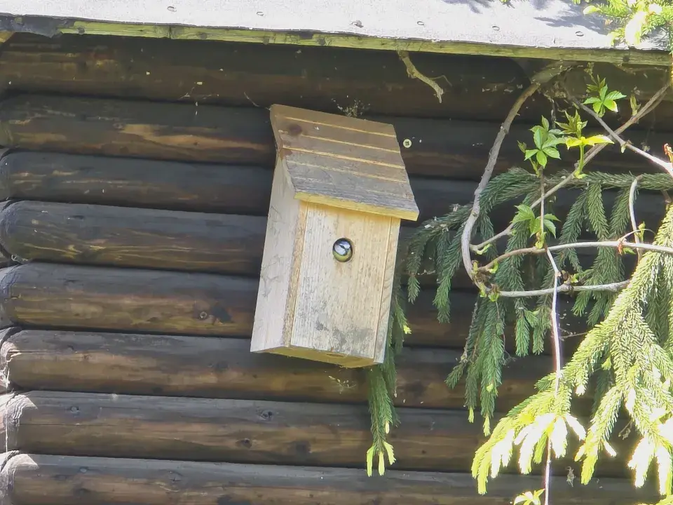 Na návštěvě zahrady u horolezce Radka Jaroše