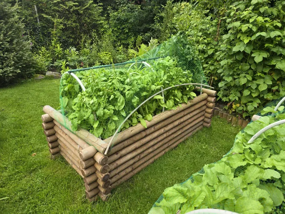 Na návštěvě zahrady u horolezce Radka Jaroše