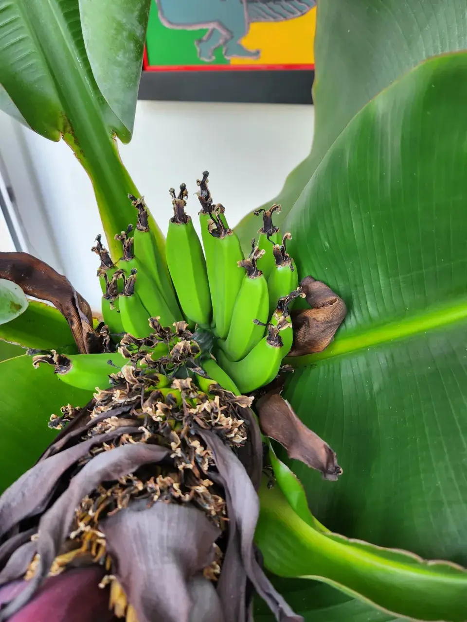 Zahrada Heleny Vondráčkové je oázou klidu a pohody