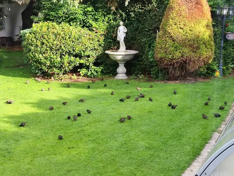 Zahrada Heleny Vondráčkové je oázou klidu a pohody