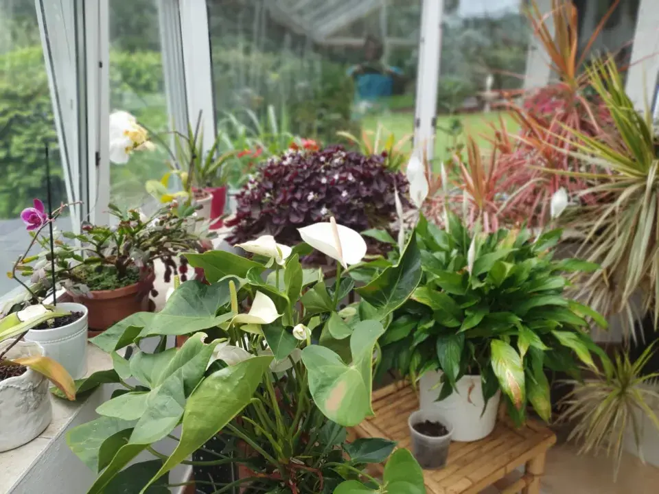 Zahrada Heleny Vondráčkové je oázou klidu a pohody