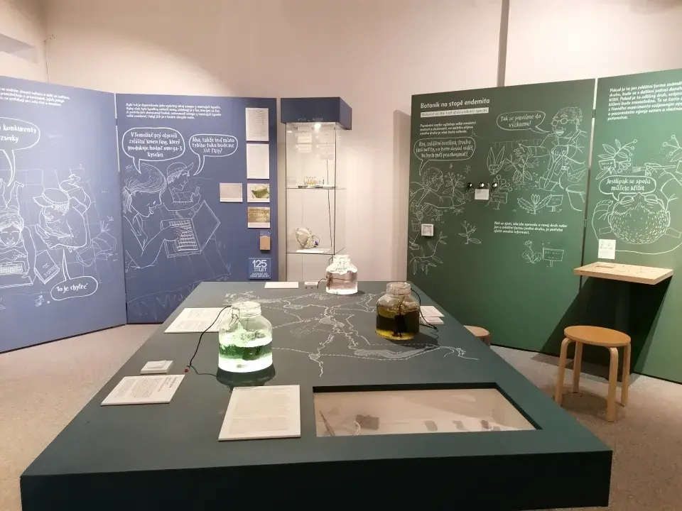 botanické expozice