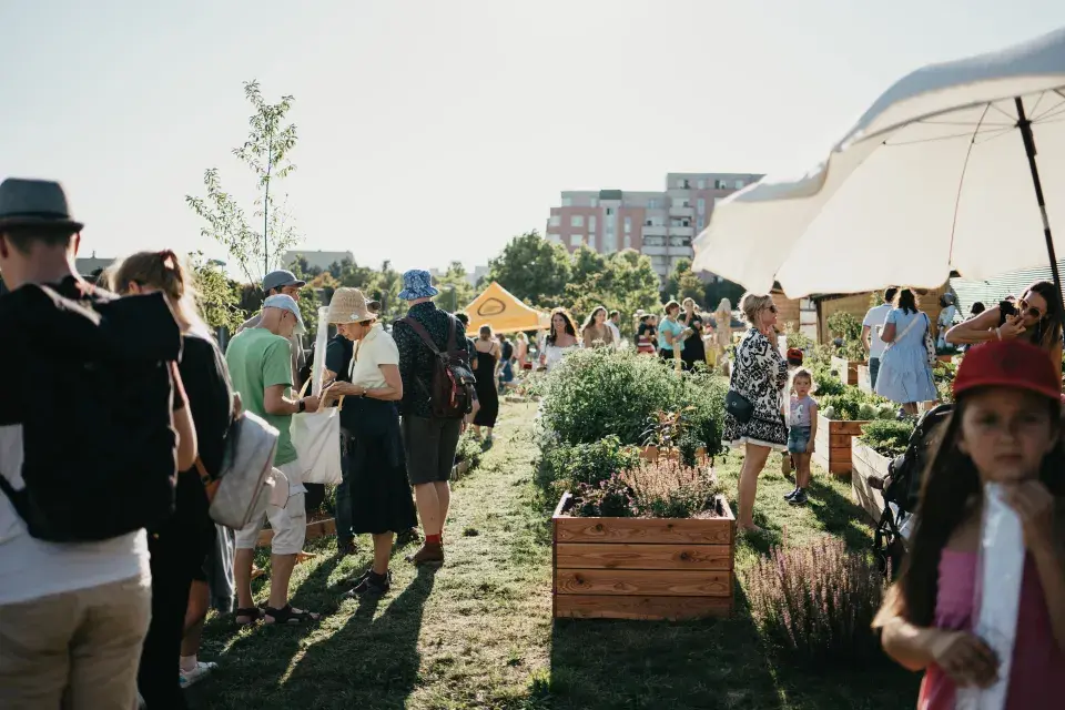 Komunitní zahrada Centra Černý Most