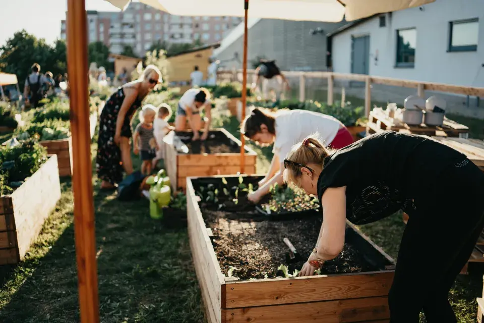 Komunitní zahrada Centra Černý Most