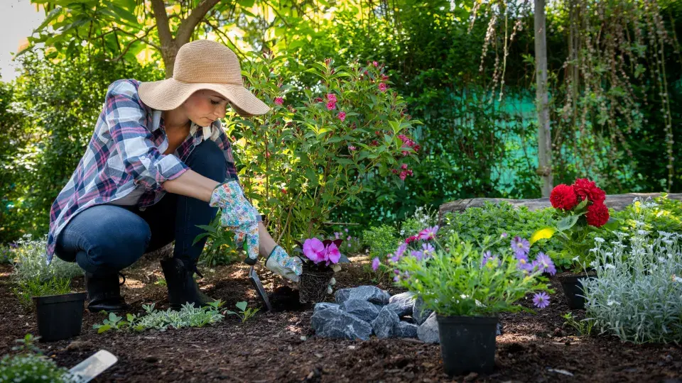 Při práci a pobytu na zahradě se můžeme nakazit nebezpečnými nemocemi