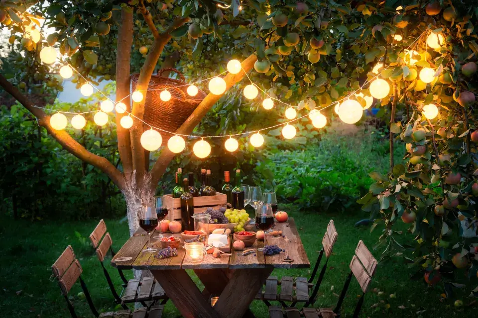 Kino na zahradě zpříjemní letní večery