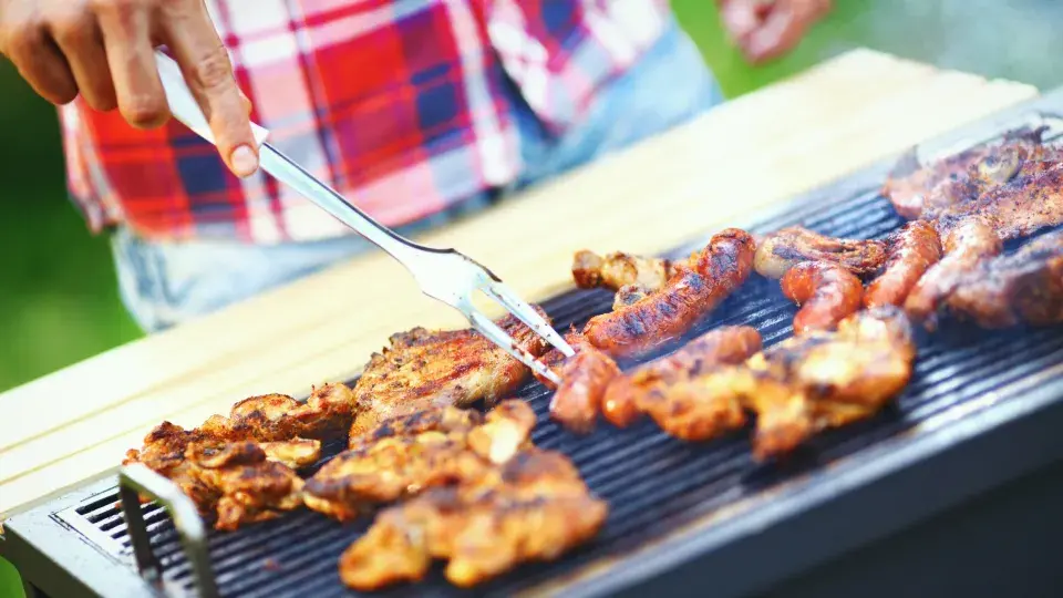 Při práci a pobytu na zahradě se můžeme nakazit nebezpečnými nemocemi
