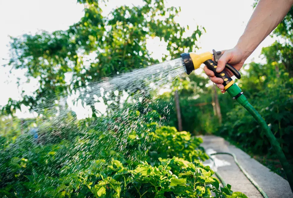 Při práci a pobytu na zahradě se můžeme nakazit nebezpečnými nemocemi