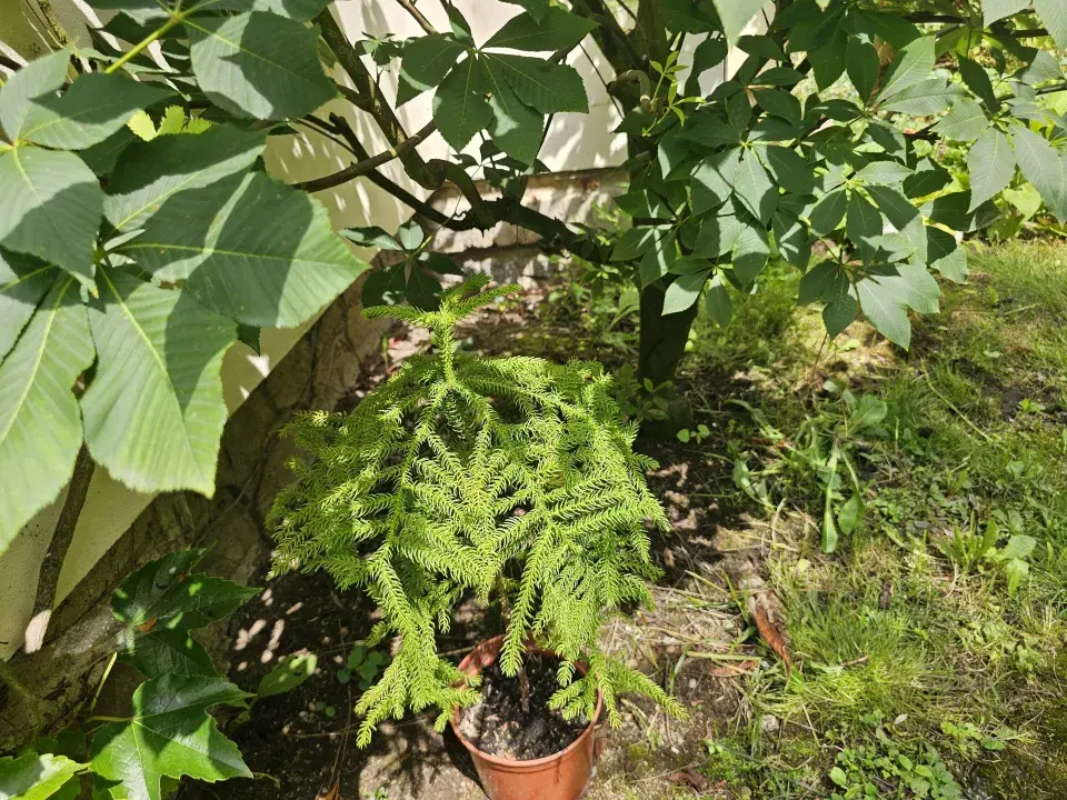 Zahrada Evy a Václava Hudečkových