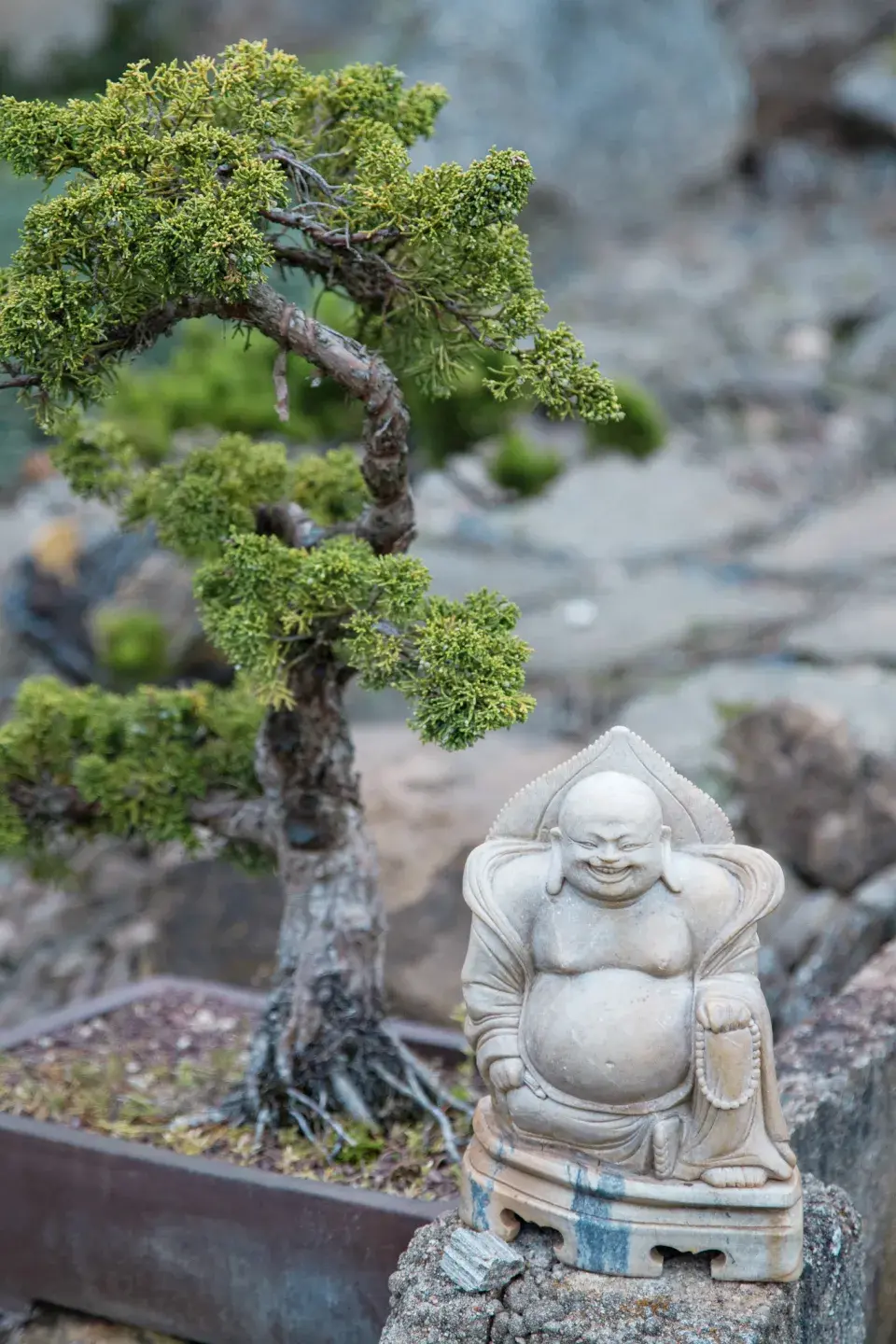 Japonská kamenná zahrada ve Sněžném na Vysočině