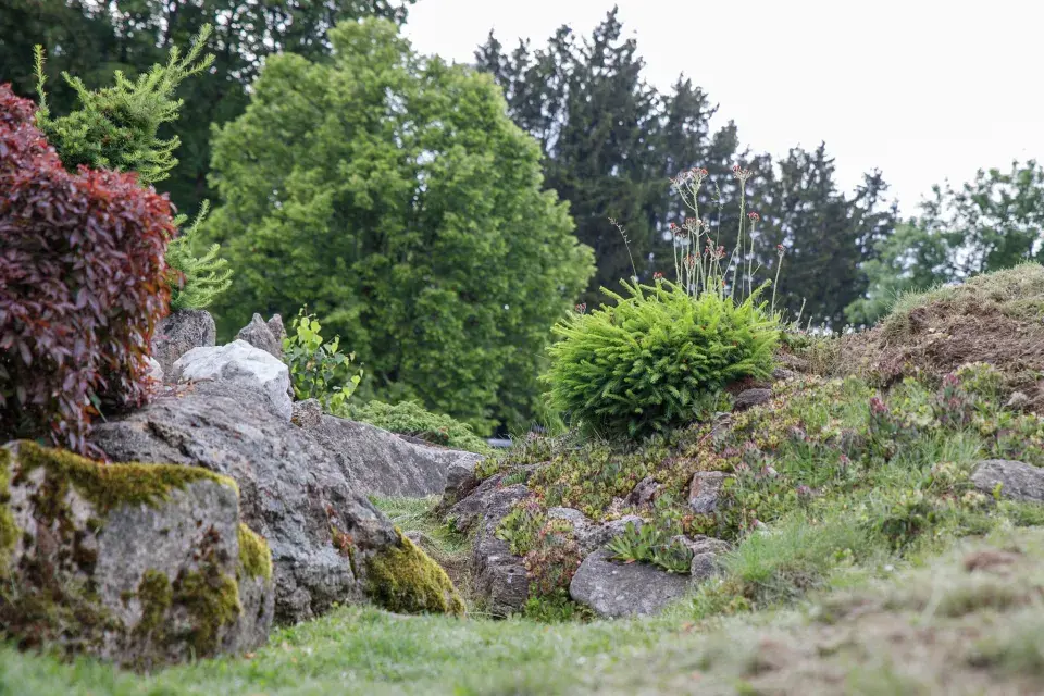 Japonská kamenná zahrada ve Sněžném na Vysočině