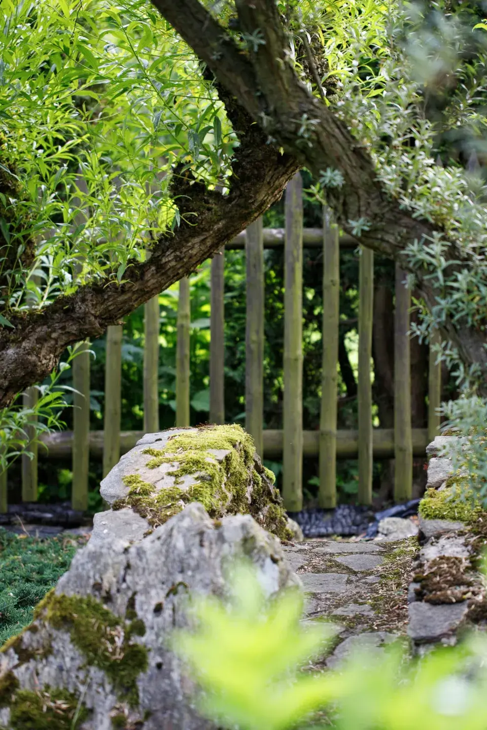 Japonská kamenná zahrada ve Sněžném na Vysočině