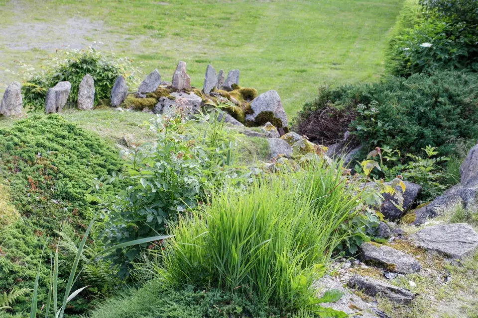 Japonská kamenná zahrada ve Sněžném na Vysočině