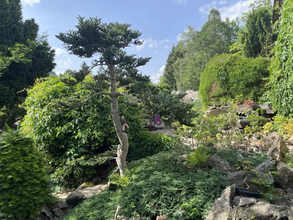 Japonská kamenná zahrada ve Sněžném na Vysočině