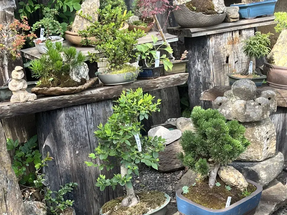 Japonská kamenná zahrada ve Sněžném na Vysočině