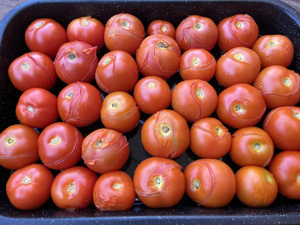 Rajčata v srpnu zaštipněte a uvařte si z úrody omáčku