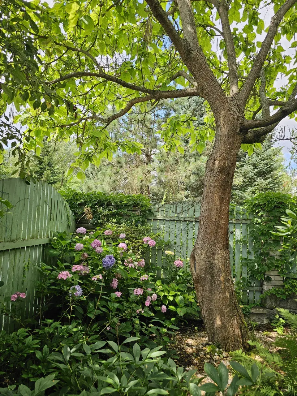 Zahrada Evy a Václava Hudečkových