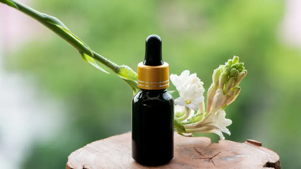 Tuberóza hlíznatá (Polianthes tuberosa)