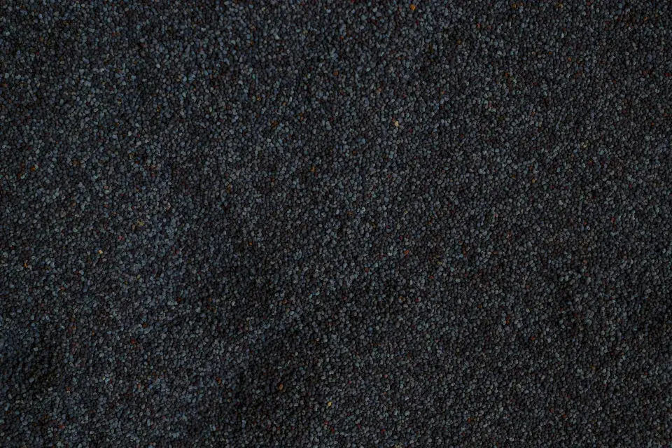 tmavá barva zralého máku