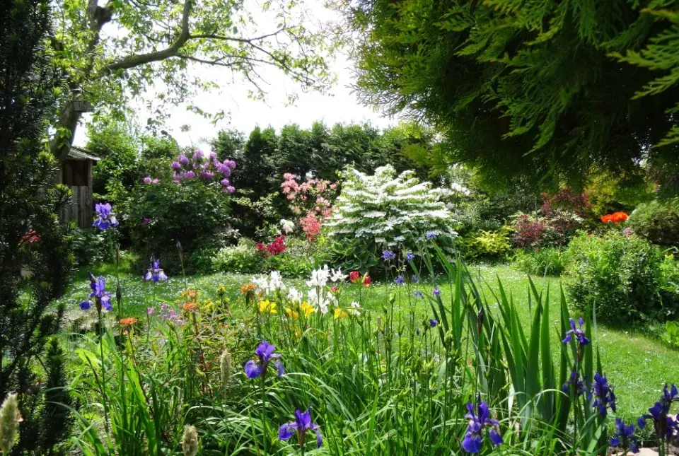 Zahrada je plná života a krásných rostlin