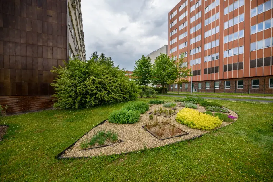 Vinohrad Jaderná elektrárna Dukovany