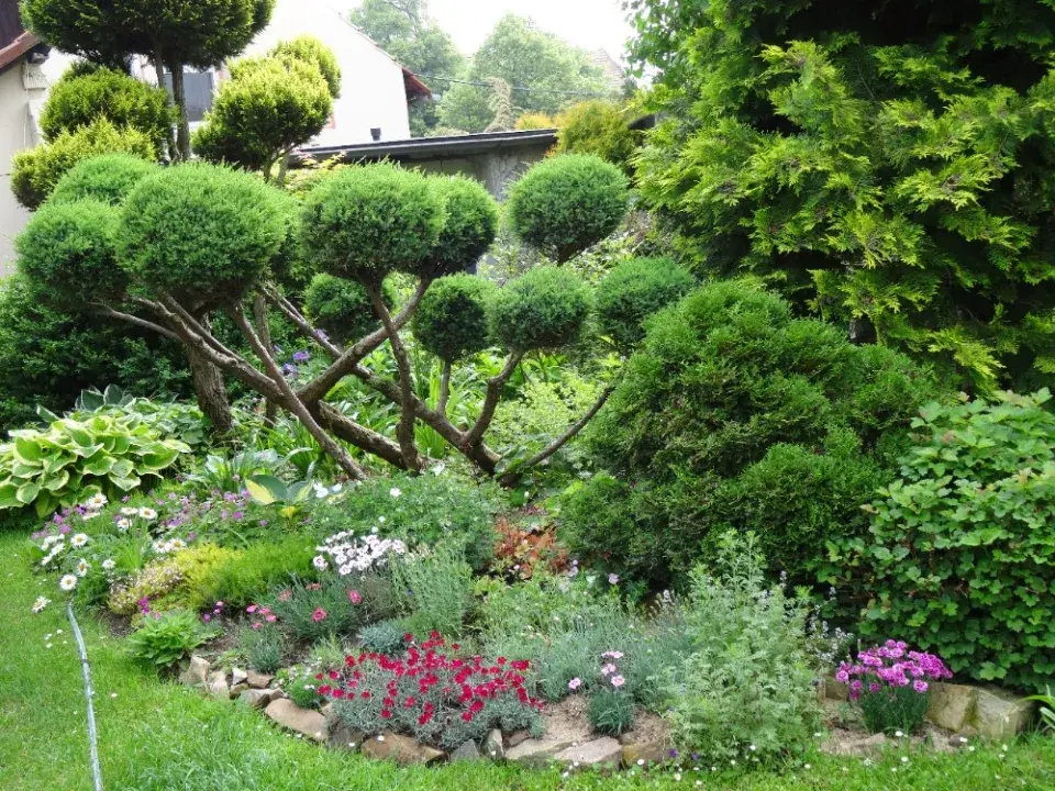 Zahrada je plná života a krásných rostlin