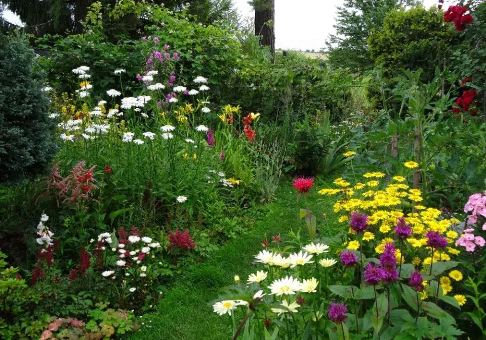 Zahrada je plná života a krásných rostlin