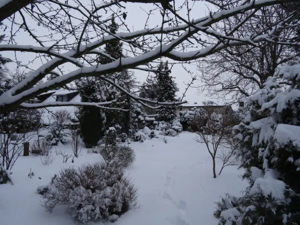 Zahrada v zimě