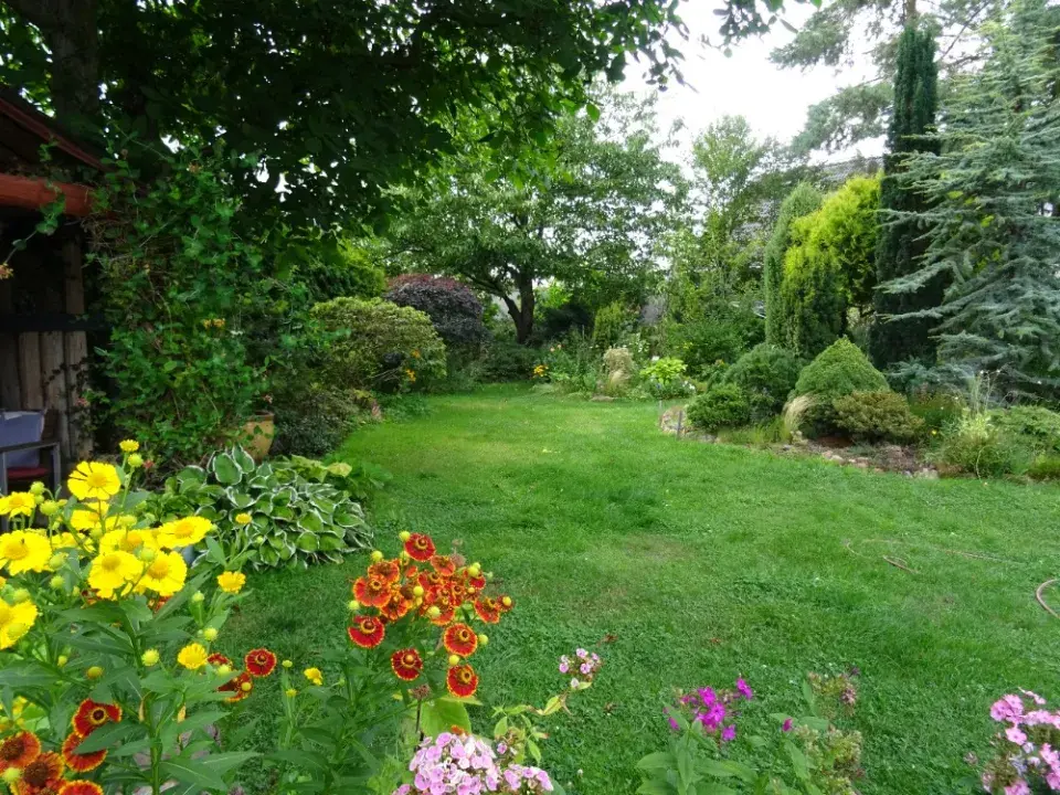 Zahrada je plná života a krásných rostlin