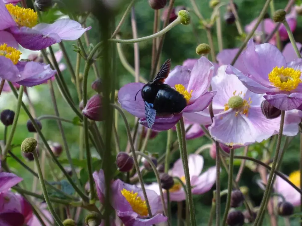 Paní Táňa ráda fotografuje
