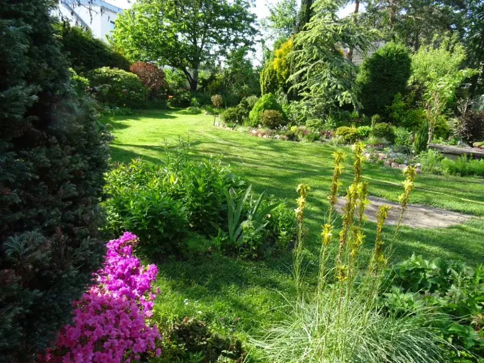 Zahrada je plná nádherných rostlin a výhledů