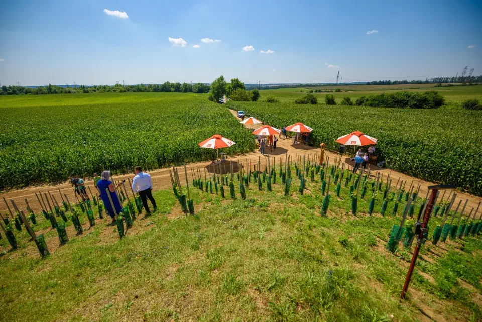 Vinohrad Jaderná elektrárna Dukovany